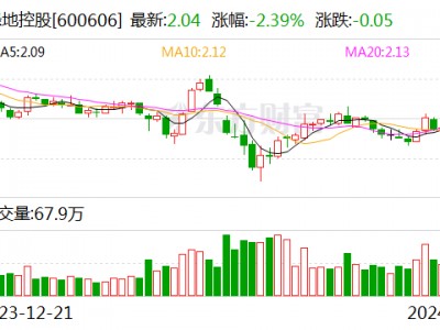 绿地集团张玉良：房地产市场仍有较大空间