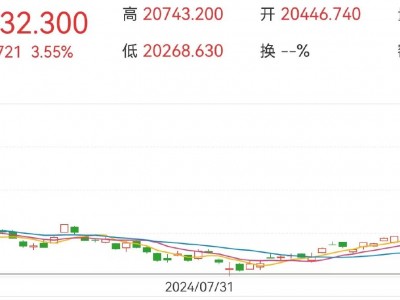 外资加速建仓！港股多家公司公告，摩根大通一天内增持比亚迪等超41亿港元