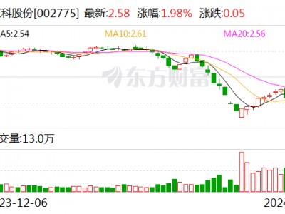 文科股份控股子公司拟投建光伏电站项目